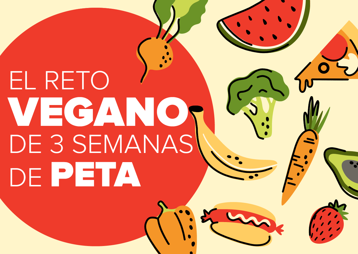 https://devinvestigaciones.petalatino.com/wp-content/uploads/2021/08/veganchallenge-02-1256x890-spanish.png