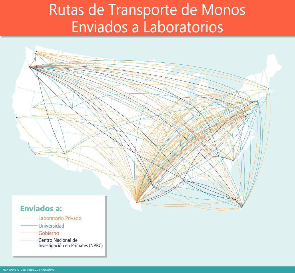 https://devinvestigaciones.petalatino.com/wp-content/uploads/2022/07/VIV-Spanish-transportation-map-monkey-transport_backgroundmap_needscredit_COI_and_PO_AS.png