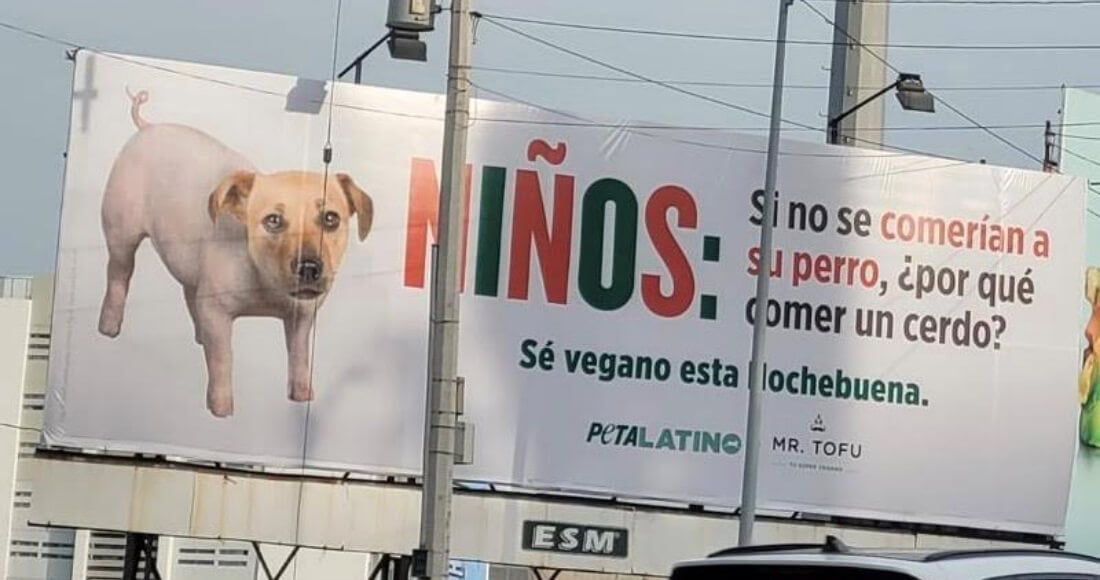 https://devinvestigaciones.petalatino.com/wp-content/uploads/2022/09/PL-Billboard-Pig-Dog-Christmas-Mexico-JR-VS-PO.jpeg