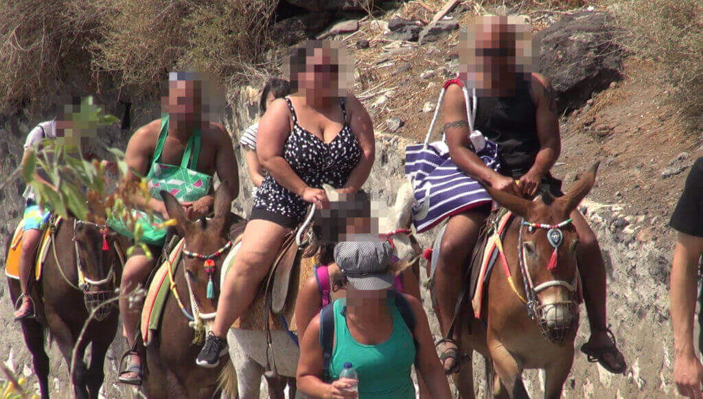 https://devinvestigaciones.petalatino.com/wp-content/uploads/2023/02/santorini-tourists-2018.jpeg