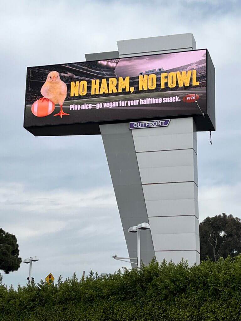 https://devinvestigaciones.petalatino.com/wp-content/uploads/2023/04/VEG_billboard_no_harm_no_fowl_NC_PO_AS.jpg