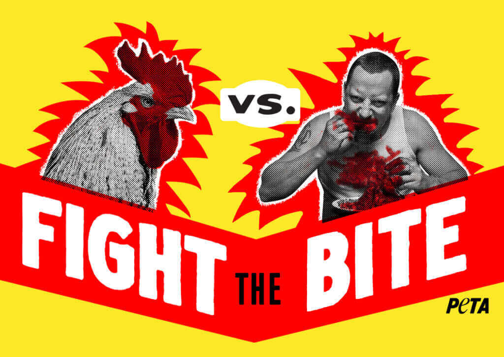 https://devinvestigaciones.petalatino.com/wp-content/uploads/2023/04/VEG_fight_the_bite_matchup_graphic_NC_PO_AS.jpg